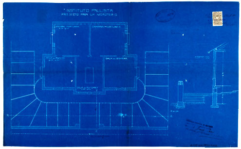 Instituto Paulista, 1913